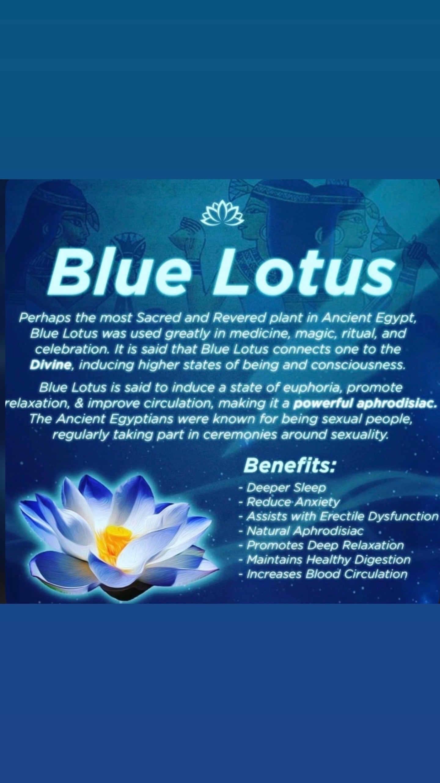 Organic Egyptian Blue Lotus Flower (Nymphaea caerulea) (CRUSHED 10grams) TEA