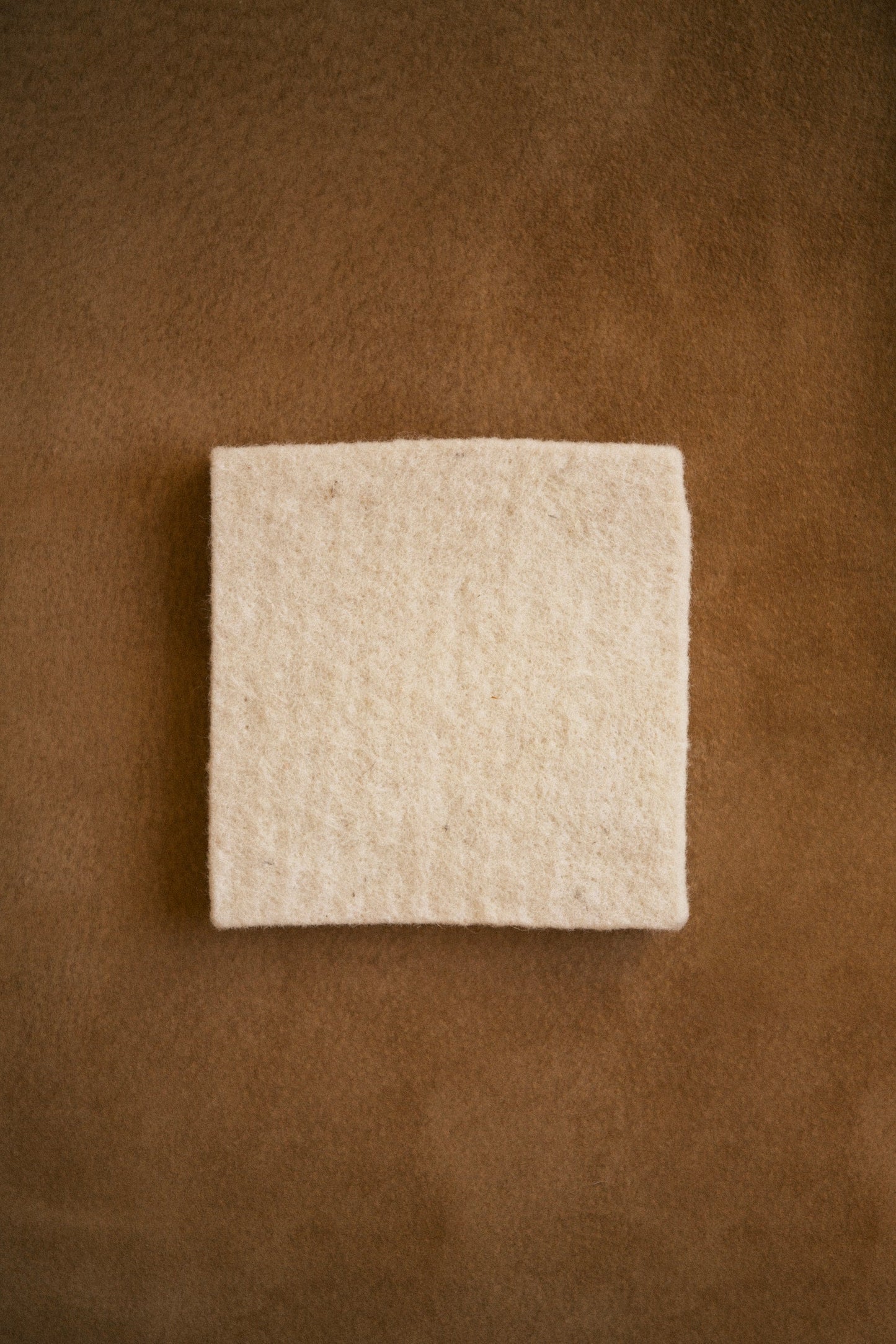 Climate Beneficial™ Wool Sponges in Cream
