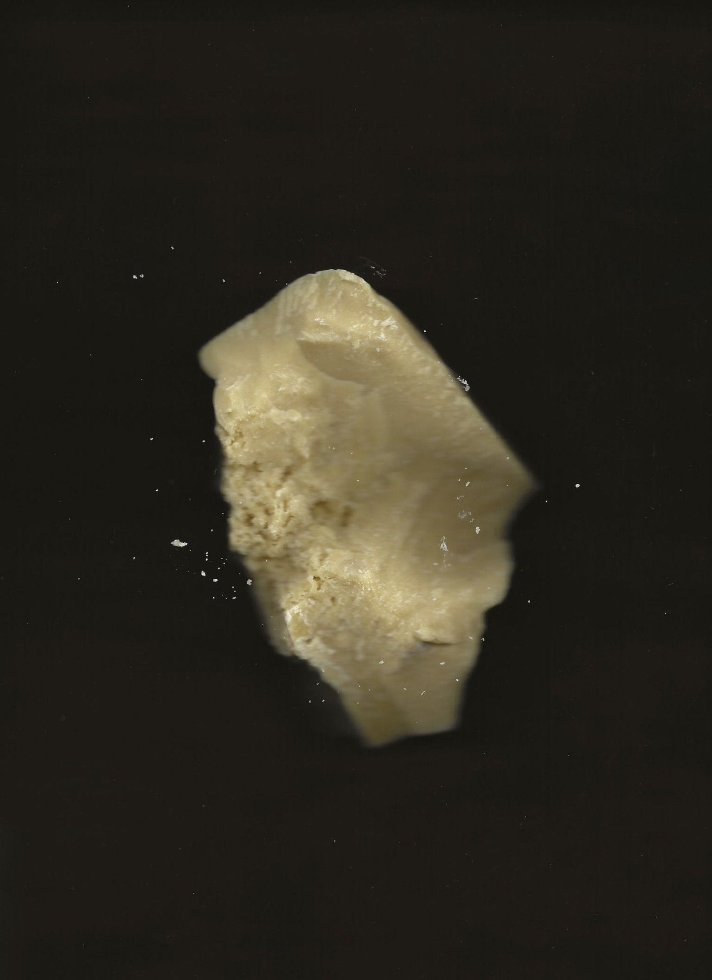 Cacao Rose – Lip, Brow & Cuticle Balm | Floral Infusion with Jasmine & Geranium