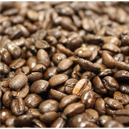 Coffee Sampler (Full Bodied Blends)