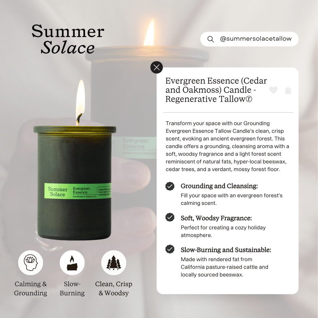 Evergreen Essence – Travel Candle | Cedar & Oakmoss