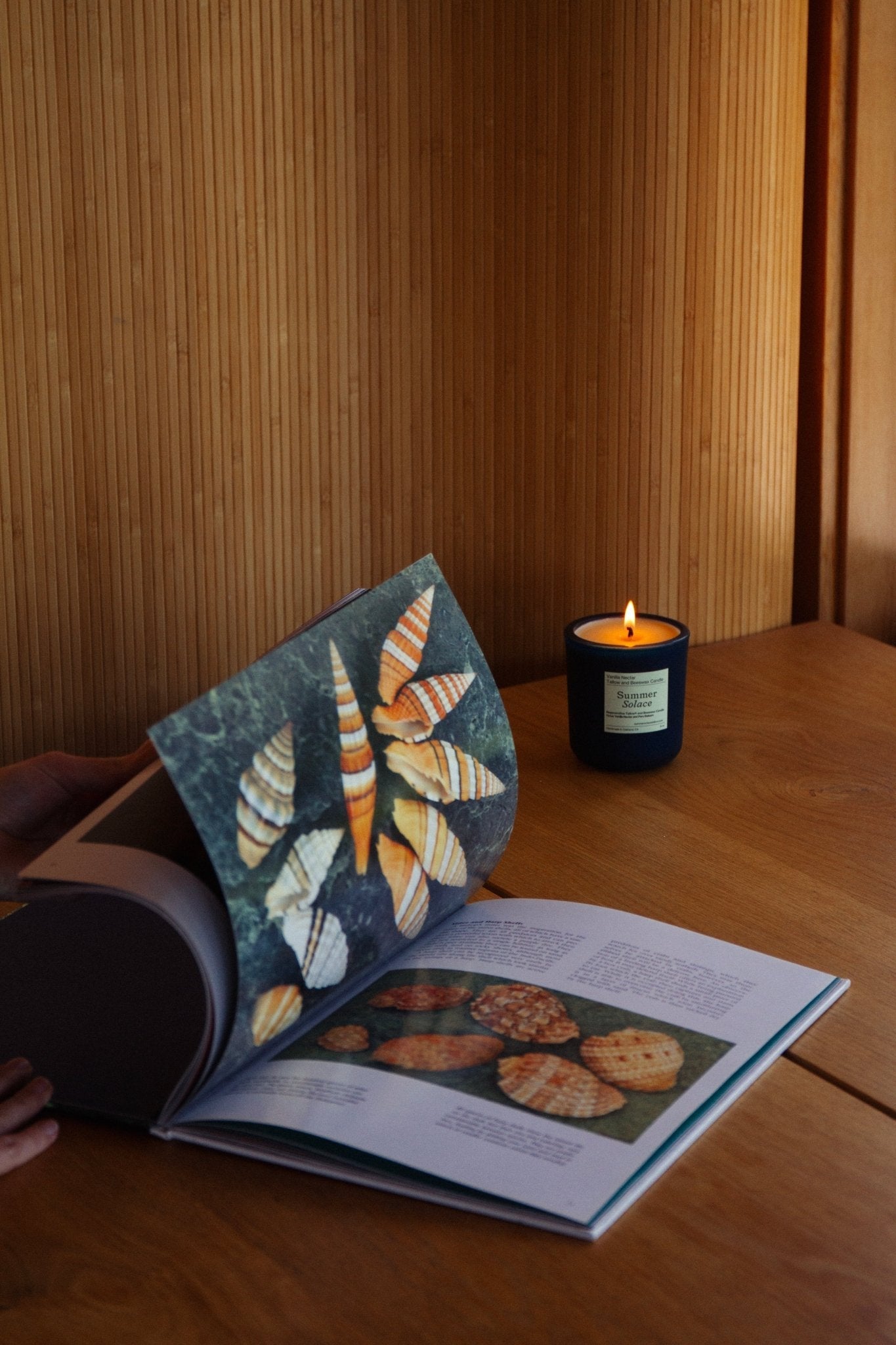 Vanilla Nectar – Tallow & Beeswax Candle with Peru Balsam | 8.5 oz