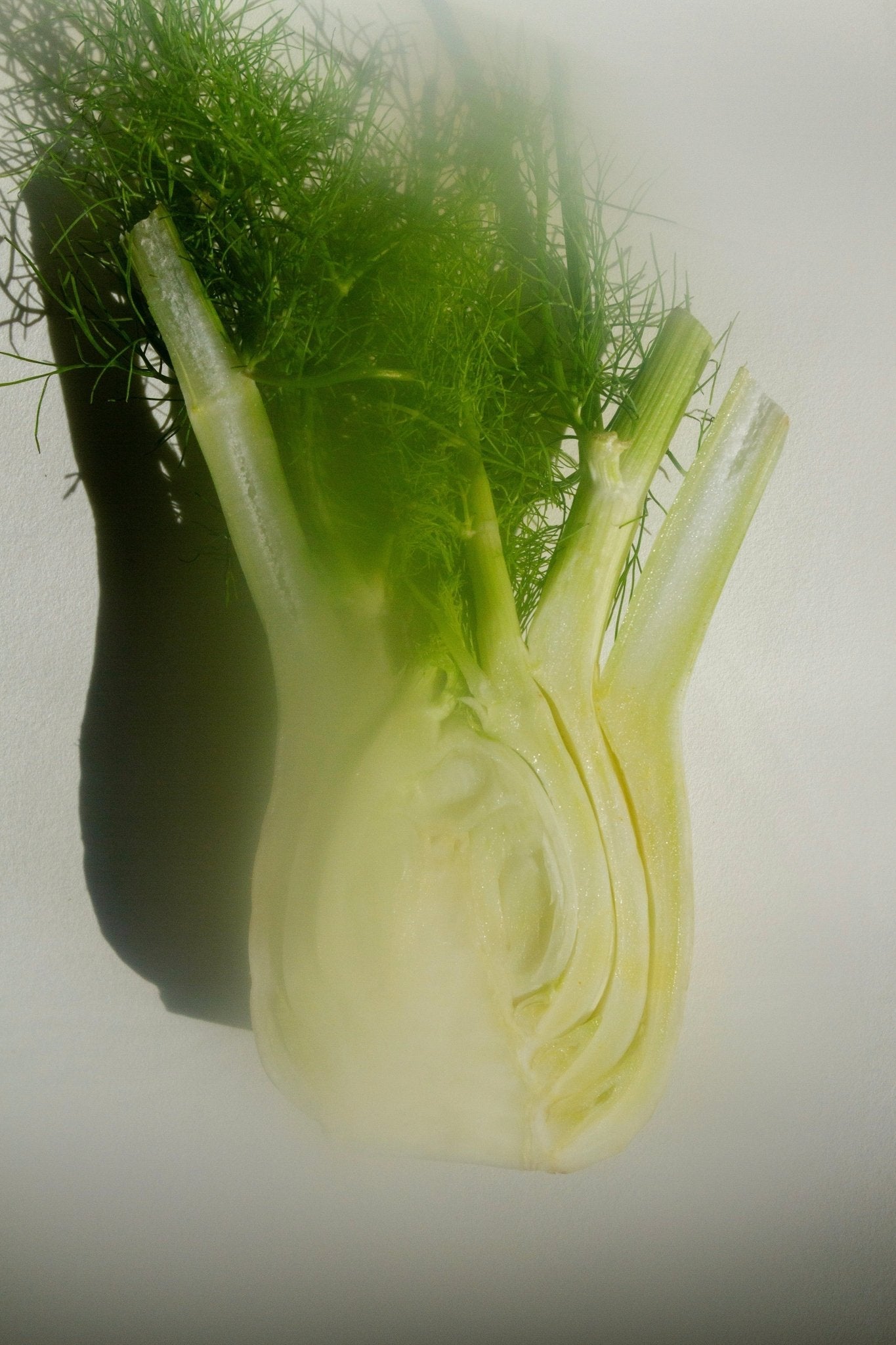 SEELE – Exfoliating Sea Salt Scrub | Celtic Salt®, Choya Nākh, Sage & Coriander