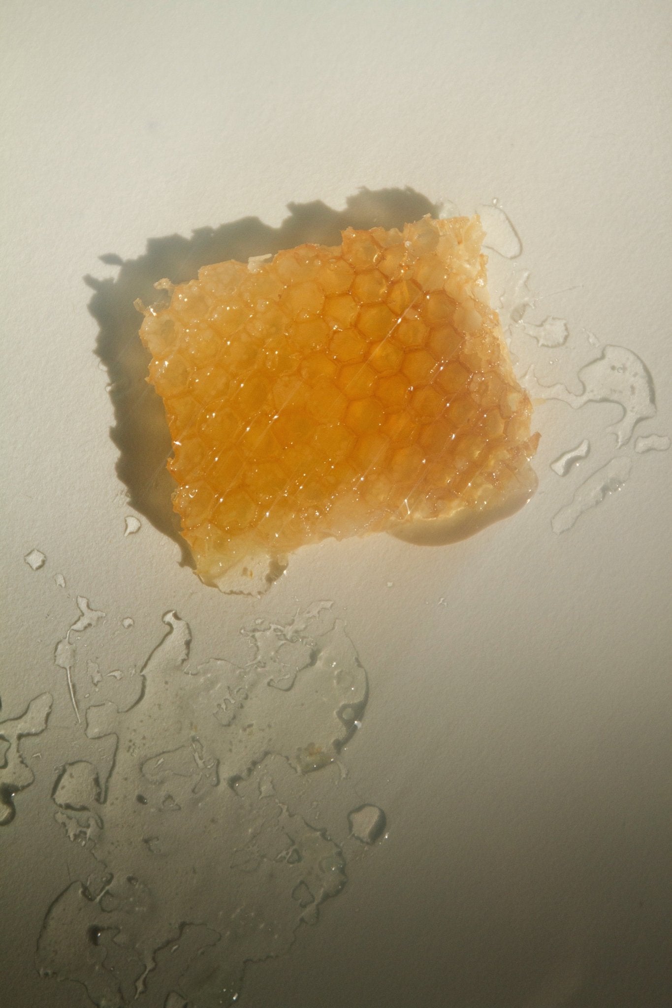 Vanilla Nectar – Tallow & Beeswax Candle with Peru Balsam | 8.5 oz